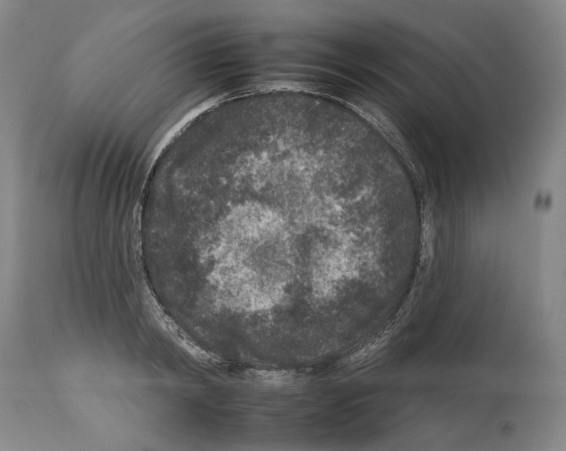 X0000112930798200910051130