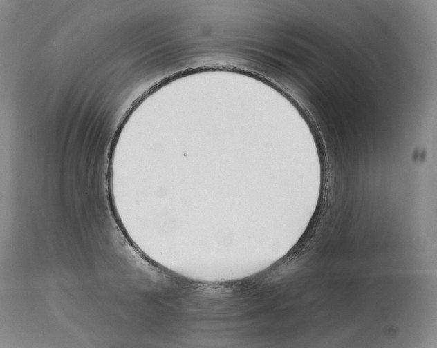 X0000112930799200910051130
