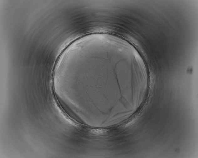 X0000112930802200910051130