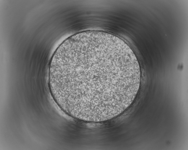 X0000112930804200910051130