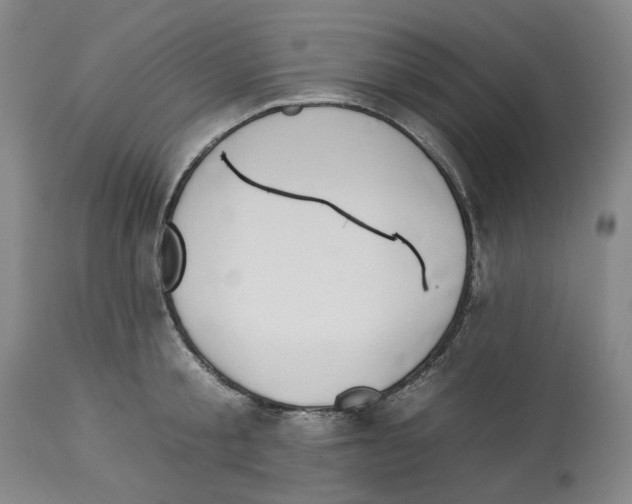 X0000112930805200910051130
