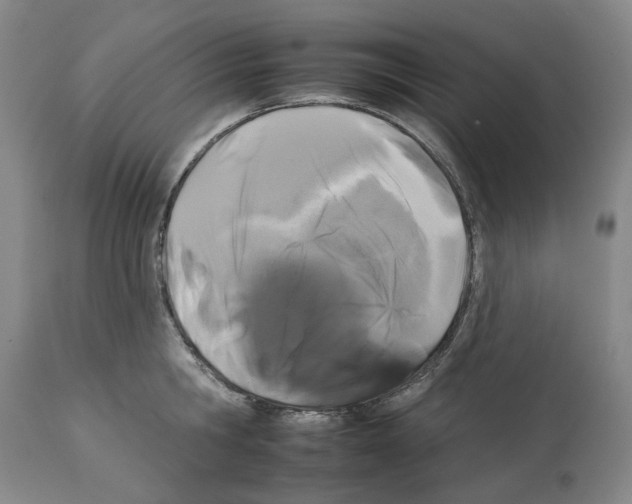 X0000112930806200910051130