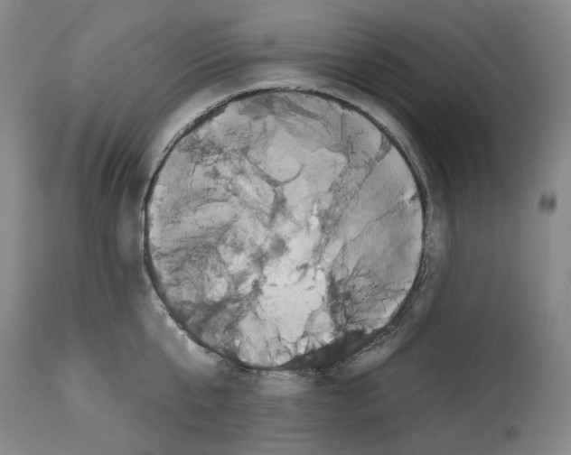 X0000112930807200910051130