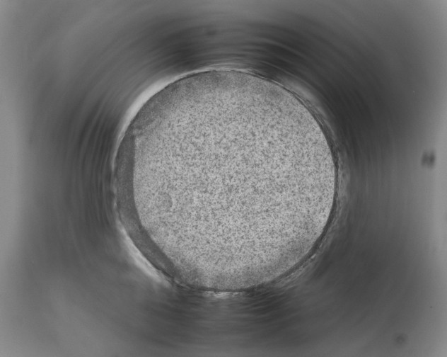X0000112930808200910051130