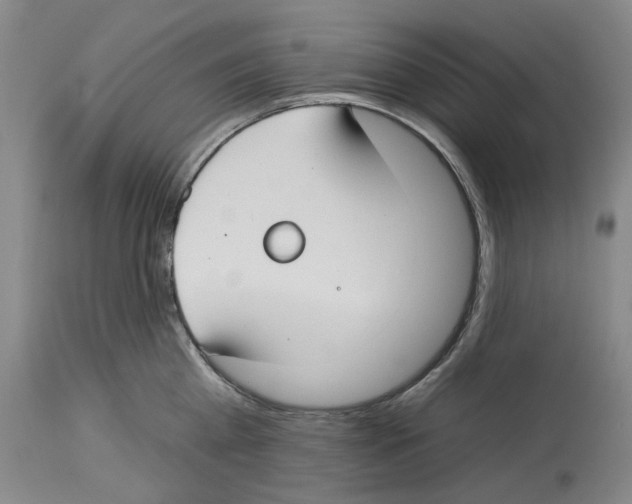 X0000112930809200910051130