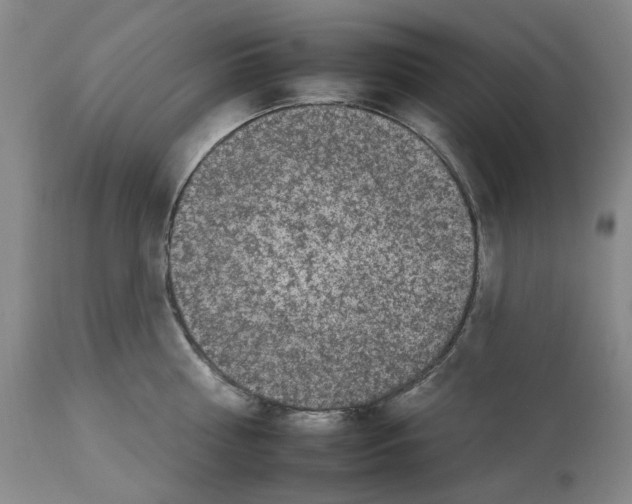 X0000112930810200910051130