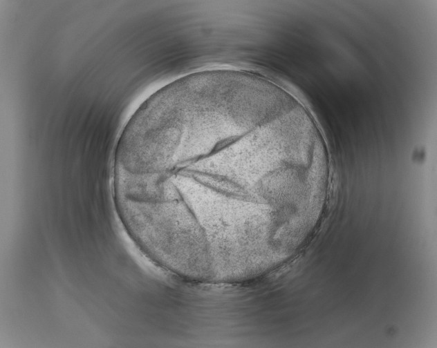 X0000112930811200910051130