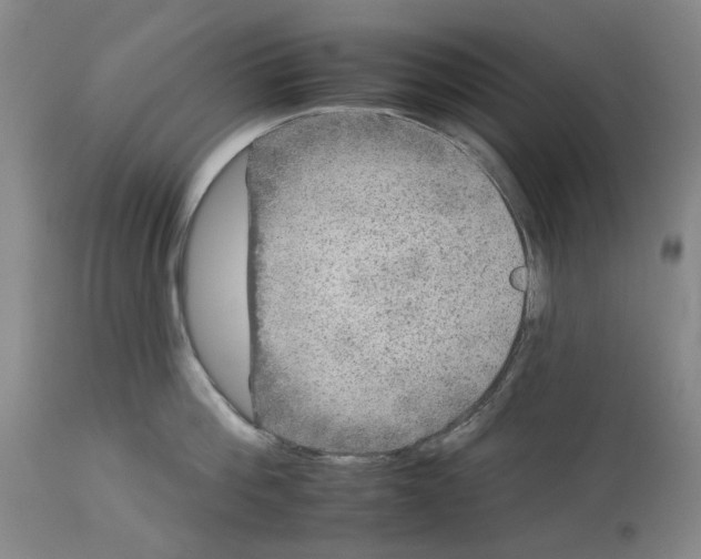 X0000112930812200910051130