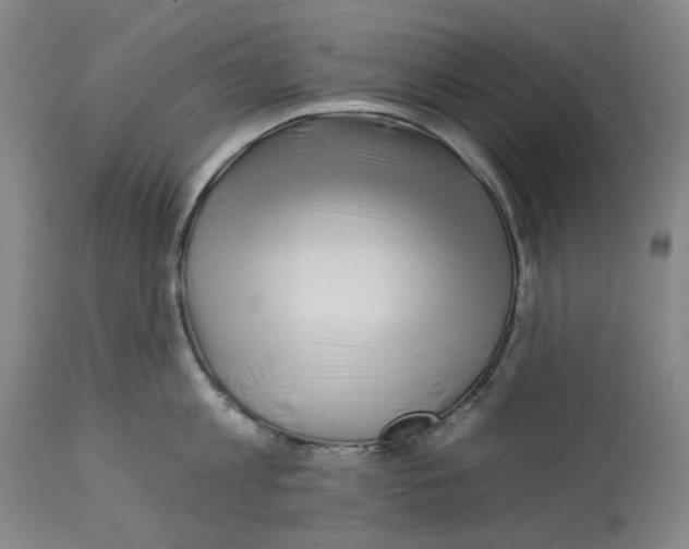 X0000112930813200910051130