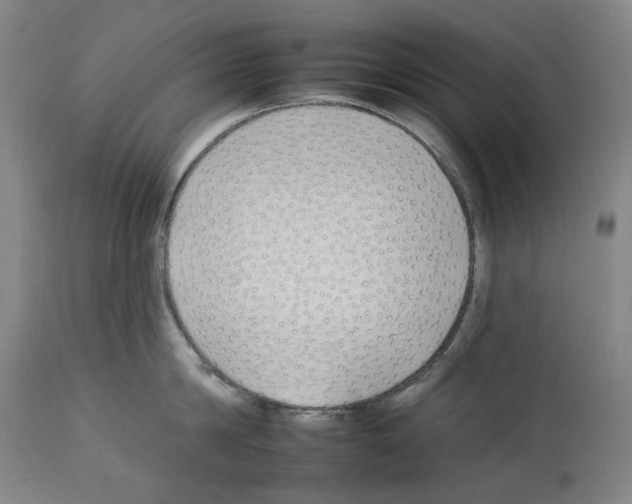 X0000112930814200910051130
