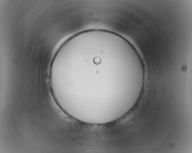 X0000112930815200910051130