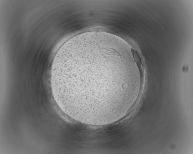 X0000112930816200910051130