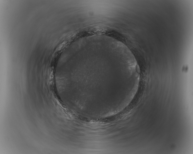 X0000112930818200910051129