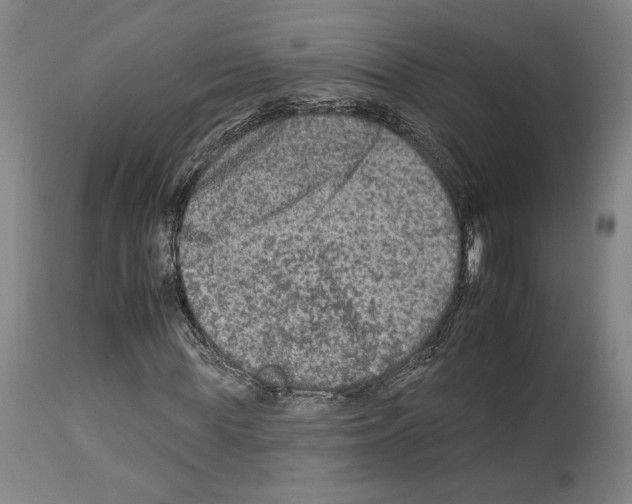X0000112930819200910051129