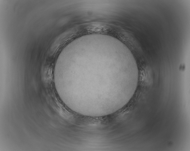 X0000112930820200910051129