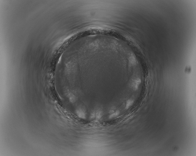 X0000112930822200910051129