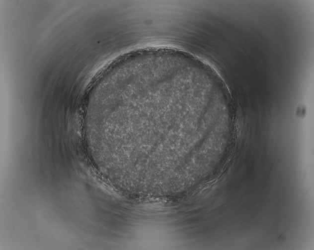 X0000112930823200910051129