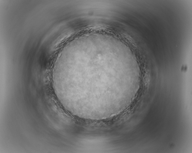 X0000112930824200910051129