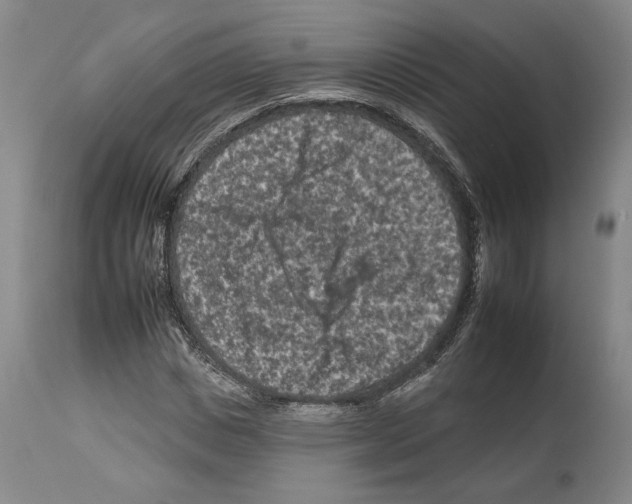 X0000112930825200910051129