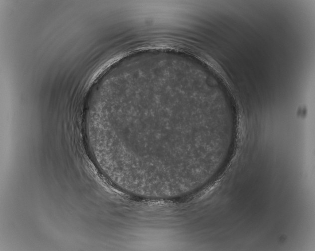 X0000112930826200910051129