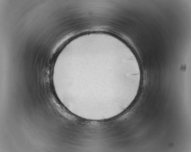 X0000112930827200910051129
