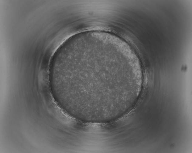 X0000112930828200910051129