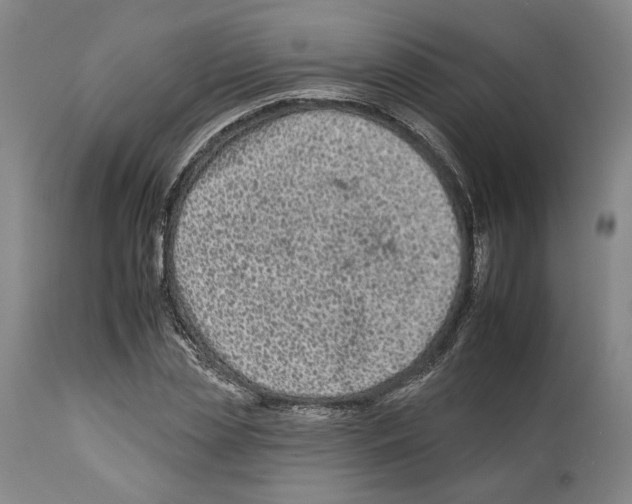 X0000112930829200910051129