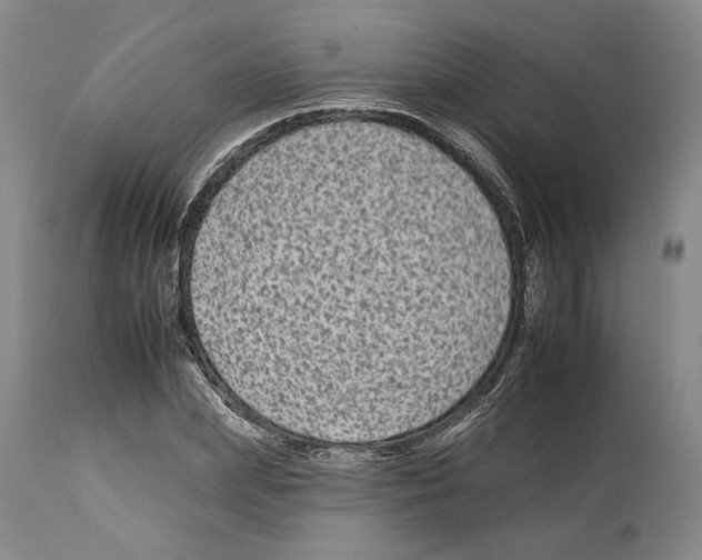 X0000112930831200910051129