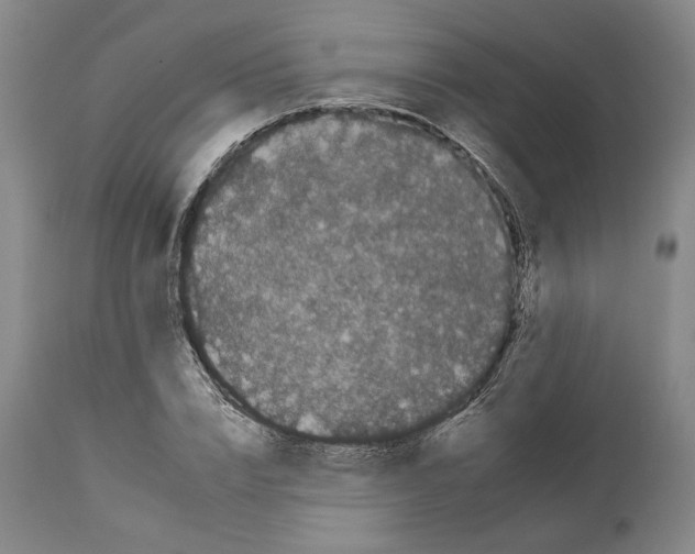 X0000112930832200910051129