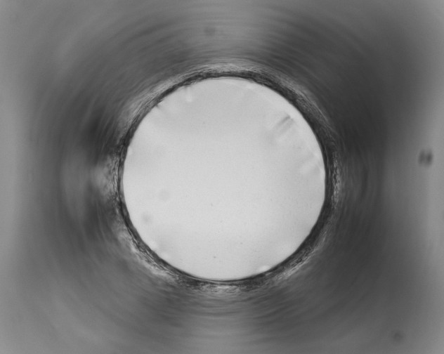 X0000112930833200910051129