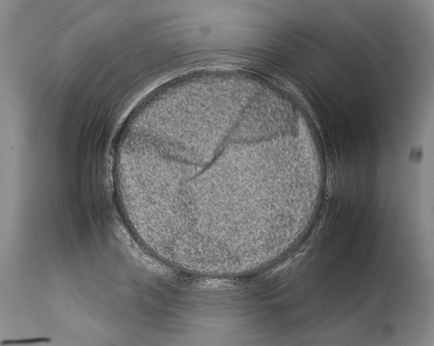 X0000112930835200910051129