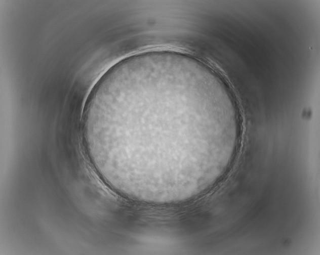 X0000112930836200910051129