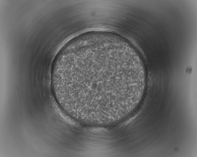 X0000112930837200910051129
