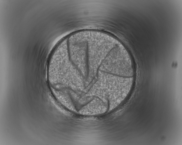 X0000112930838200910051129