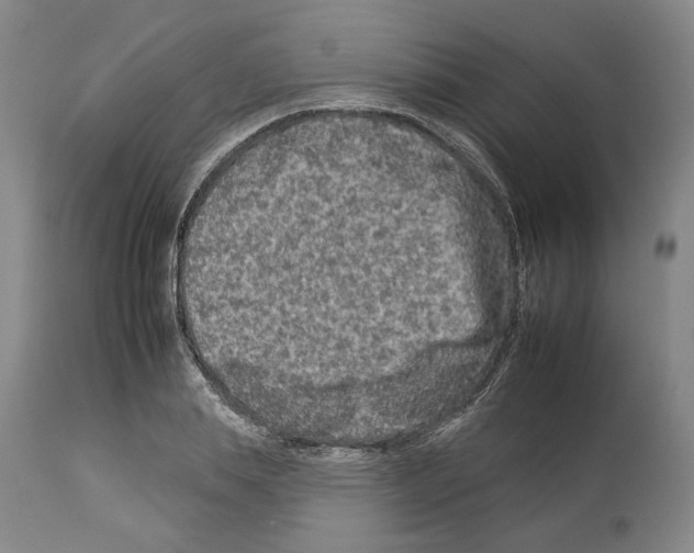 X0000112930839200910051129