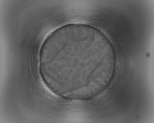 X0000112930840200910051129