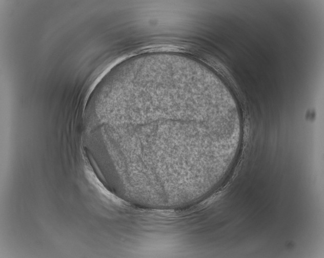 X0000112930844200910051129