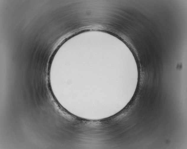 X0000112930845200910051129
