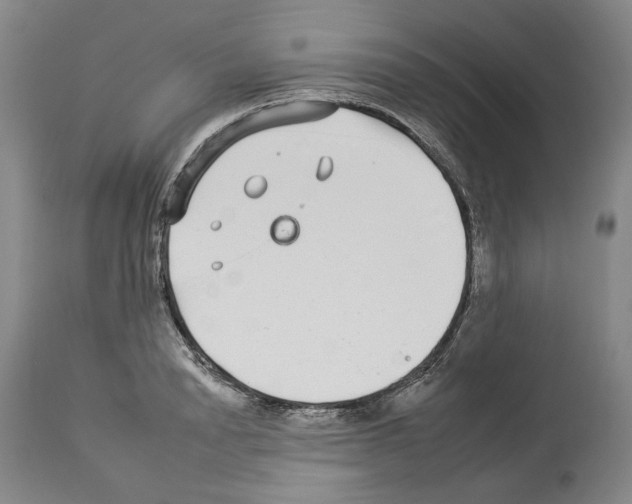 X0000112930846200910051129