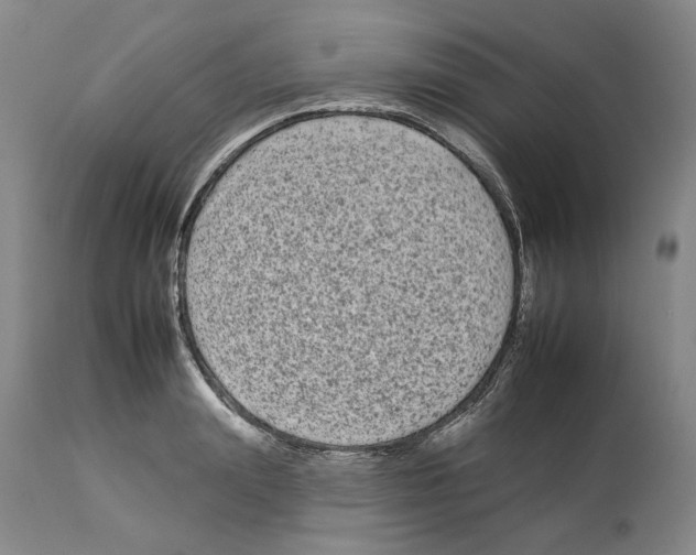 X0000112930847200910051129