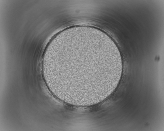 X0000112930848200910051129