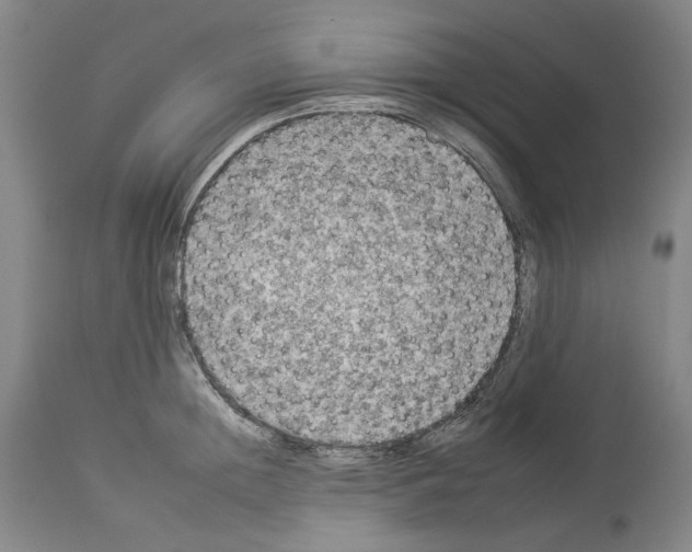 X0000112930852200910051130