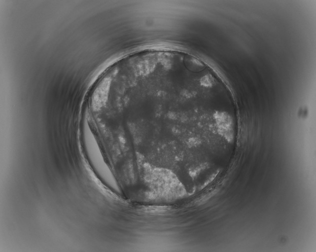 X0000112930853200910051130