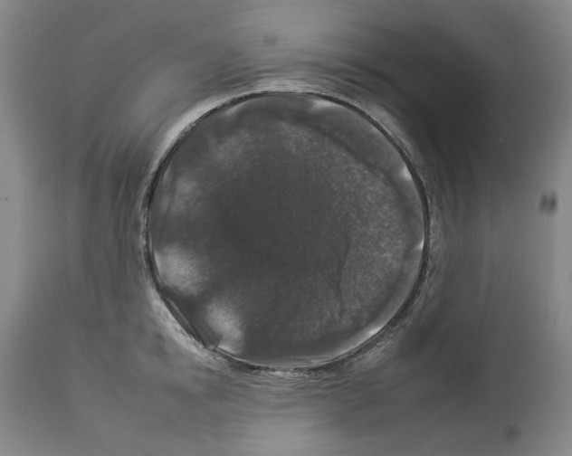 X0000112930854200910051130