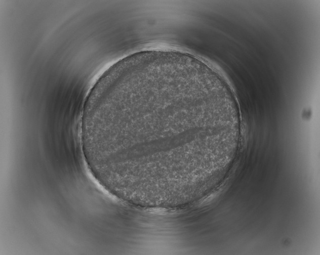 X0000112930855200910051130