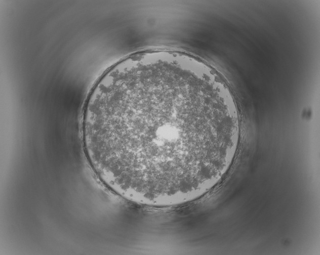 X0000112930856200910051130