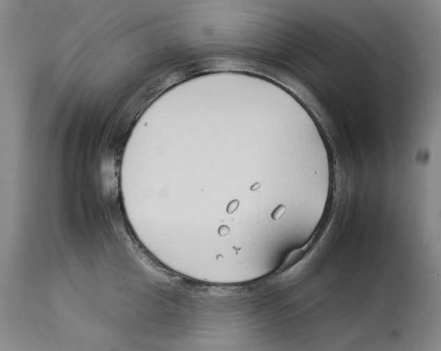 X0000112930857200910051130