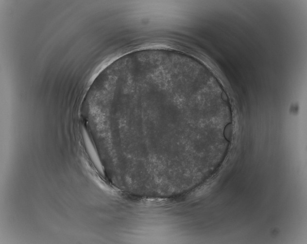 X0000112930858200910051130