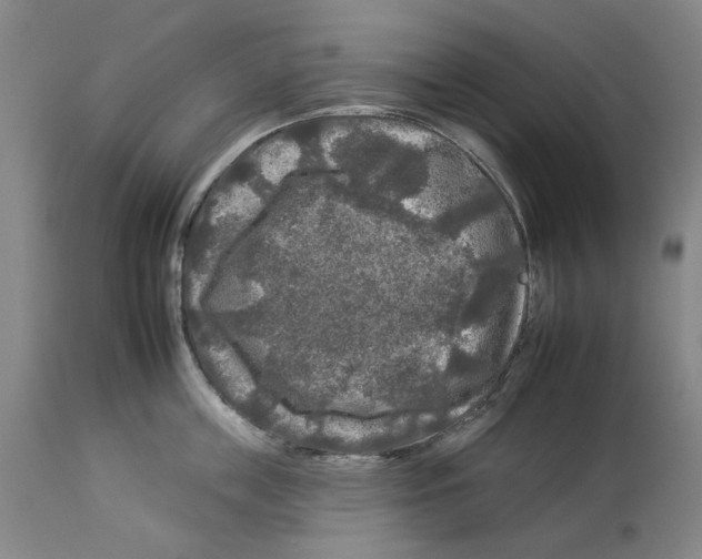 X0000112930859200910051130