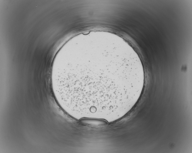 X0000112930860200910051130